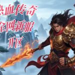 一张为热血传奇新服的图片